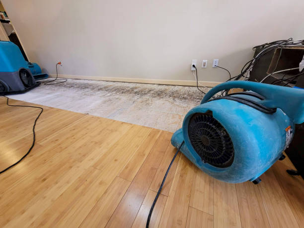 Professional Ceiling Water Damage Repair technician working in Clemmons, NC
